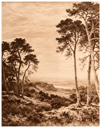 雨后的日落，1903年 作者 本杰明·威廉姆斯（Benjamin Williams）领导人