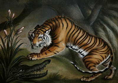 虎和鳄鱼，约1810年（板上沙画） 作者 本杰明·萨布尔
