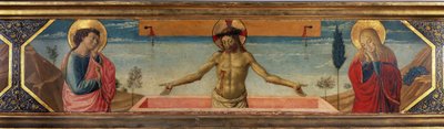 图片不明 作者 Benozzo di Les di Sandro Gozzoli