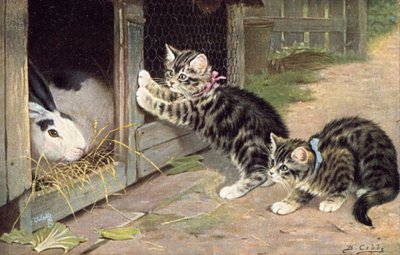 猫明信片（彩色平版） 作者 伯纳德·科布