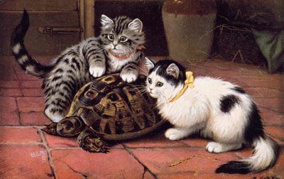 猫明信片（彩色平版） 作者 伯纳德·科布