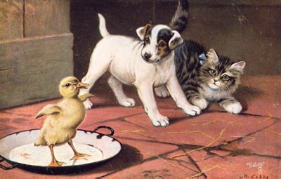 猫明信片（彩色平版） 作者 伯纳德·科布