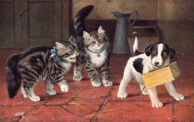 猫明信片（彩色平版） 作者 伯纳德·科布