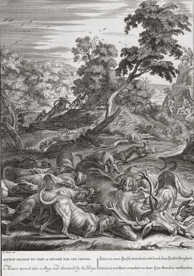 1531年，Acteon变成了一只雄鹿，被他的狗吞噬了 作者 伯纳德·皮卡特