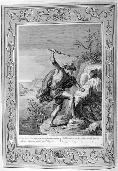 Alcyone和Ceyx转变为鸟类，1733年 作者 伯纳德·皮卡特
