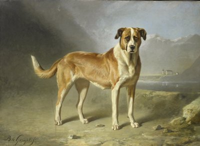 一只圣伯纳犬 作者 伯纳德·特·金普特