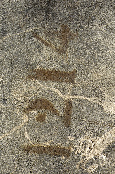 路易十五便桶，约1740年（ormolu安装的中国黑色，彩色和镀金漆，蛇纹石，大理石和弗尼斯） 作者 伯纳德·范·里森堡