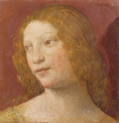 一名年轻女子的头 作者 Bernardino Luini