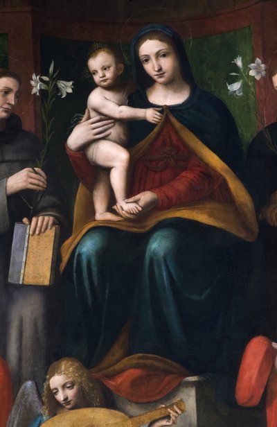 神圣的对话，Pala Raimondi，1517-18 作者 贝纳迪诺·路易尼
