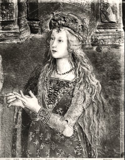 圣凯瑟琳，可能是来自圣徒生活的Lucrezia Borgia（1480-1519）的肖像，Sala dei Santi，1492-94 作者 贝纳迪诺·贝托·平图里基奥