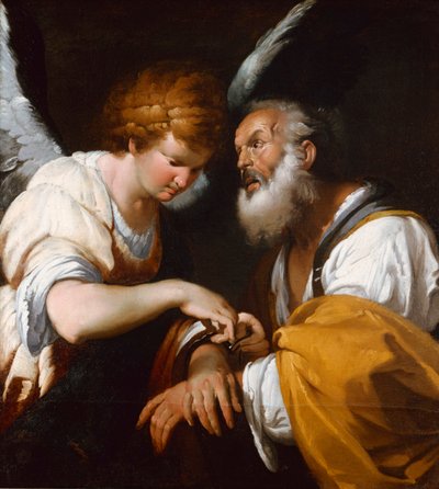  作者 贝尔纳多·斯特罗兹（Bernardo Strozzi）