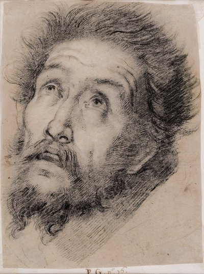 学习圣方济各崇拜十字架 作者 贝尔纳多·斯特罗兹（Bernardo Strozzi）