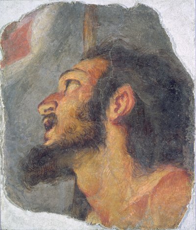 施洗者圣约翰的头，从壁画片段 作者 贝尔纳多·斯特罗兹（Bernardo Strozzi）