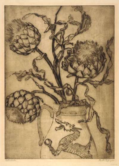 朝鲜蓟 作者 伯莎·E·雅克