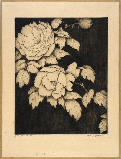 日本牡丹 作者 伯莎·E·雅克