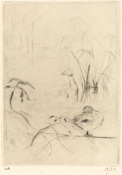 岸上休息的鸭子，1888年至1890年。 作者 贝特·莫里索（Berthe Morisot）
