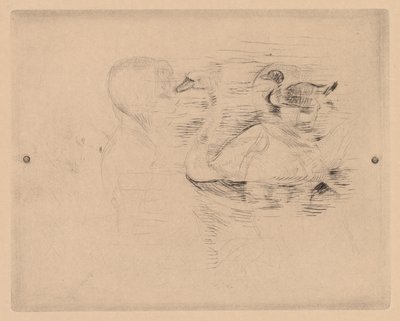 天鹅和鸭子，以及朱莉的画像（Cygne et canard, avec portraits de Julie, or Cygne et canard, essai） 作者 贝特·莫里索（Berthe Morisot）