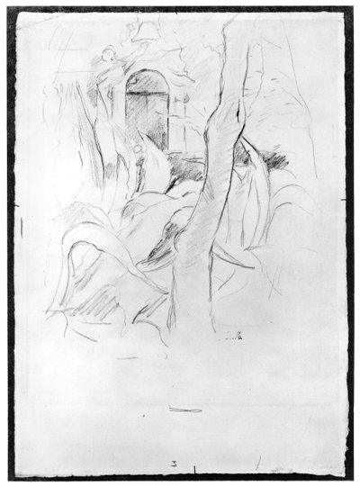 Villa Ratti的Aloes，1889年（纸上石墨） 作者 贝特·莫里索（Berthe Morisot）