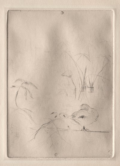 鸭子 作者 贝特·莫里索（Berthe Morisot）