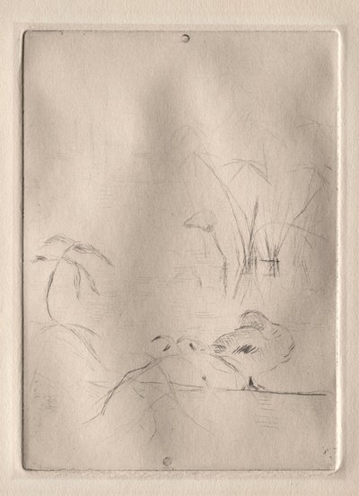 鸭子 作者 贝特·莫里索（Berthe Morisot）