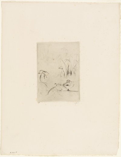 鸭子 作者 贝特·莫里索（Berthe Morisot）