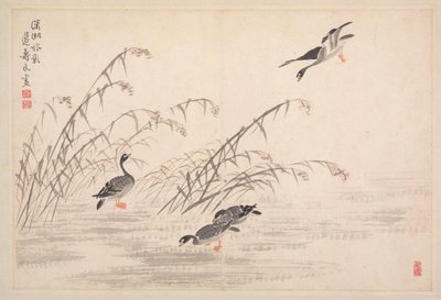 书画相册 作者 边寿民
