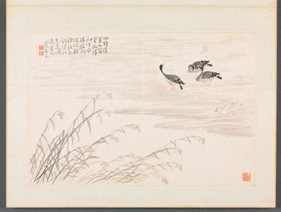 书画相册 作者 边寿民
