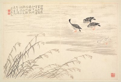 书法和绘画专辑，十八世纪。 作者 边寿民