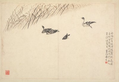 书法和绘画专辑，十八世纪。 作者 边寿民