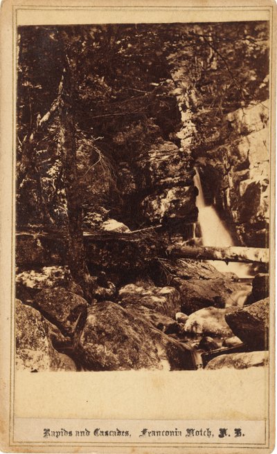 Rapids and Cascades, Franconia Notch, New Hampshire, 1860s. 作者 比尔施塔特兄弟