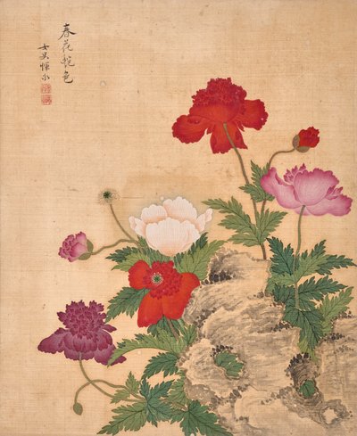  作者 