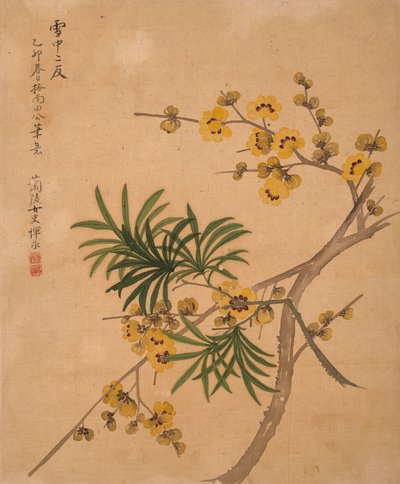  作者 