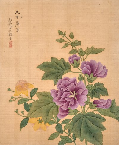  作者 