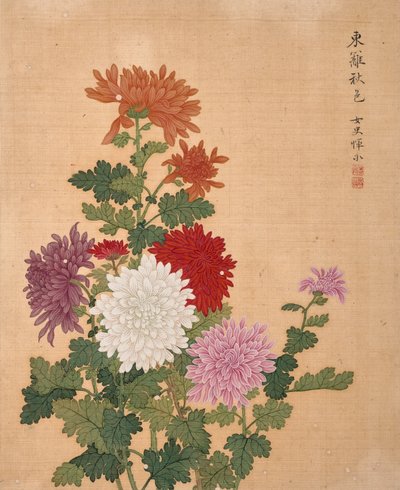  作者 