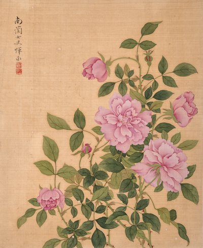  作者 