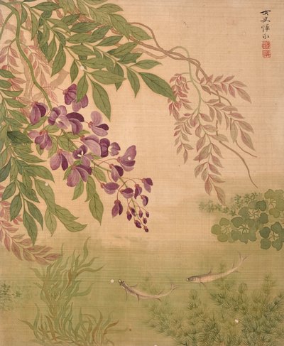  作者 