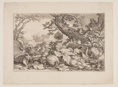图 13，选自《有农舍的风景画 作者 Boetius Adams Bolswert