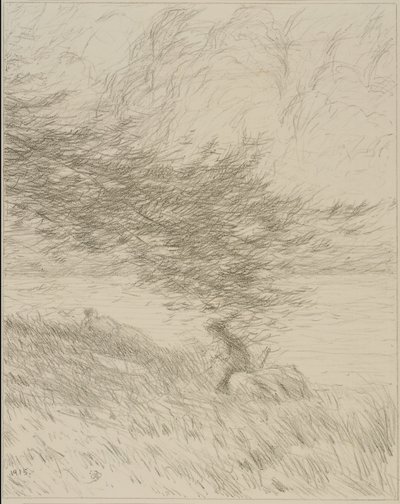 松树枝桠 作者 博尔顿布朗