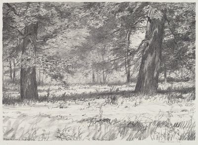 两棵枫树 作者 博尔顿布朗