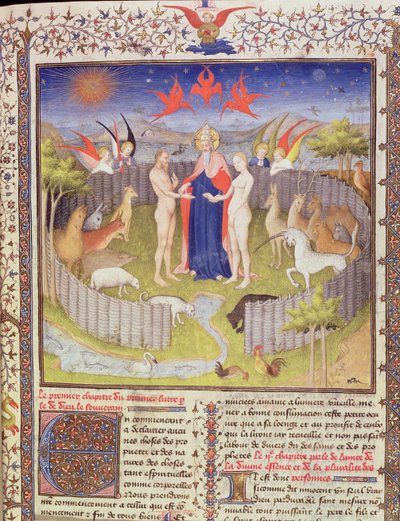女士251，f.16r：来自Des Proprietes De Choses的亚当和夏娃的婚姻，c.1415黄金叶，金墨水和蛋彩画在276966的羊皮纸细节上 作者 布考大师