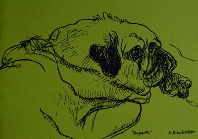 “霍加斯”（绿色纸上的墨水） 作者 布伦达·布林·布克