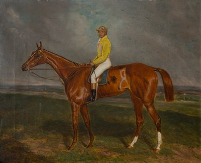 栗色赛马与骑师，约 1860-90 年（布面油画） 作者 英国学校