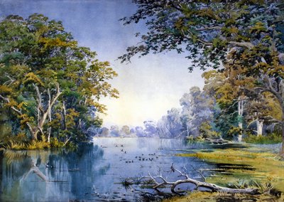 林间小河（水彩画） 作者 英国学校