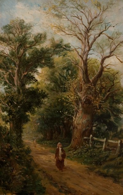 乡村小巷，也许是教堂巷，阿勒斯利，c.1880（布面油画） 作者 英国学校