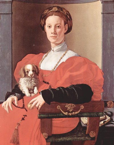 德语： Bildnis einer Dame in Rot (Francesca Salviati) 红衣女郎肖像 (Francesca Salviati) 作者 布龙齐诺