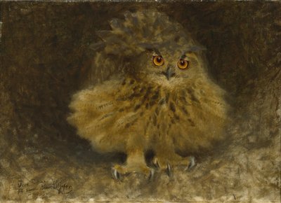 鹰猫头鹰，1905年 作者 布鲁诺·安德里亚斯·利耶佛斯（Bruno Andreas Liljefors）