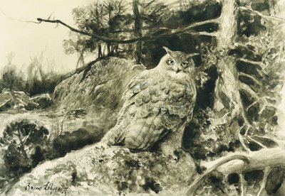 Berguv（鹰猫头鹰）Bubo Bubo 作者 布鲁诺·安德里亚斯·利耶佛斯（Bruno Andreas Liljefors）