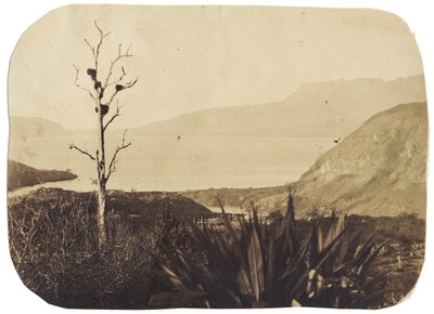 1860年，Wairoa的Lake和Mount Tarawera（蛋白印刷品） 作者 布鲁诺·哈默尔