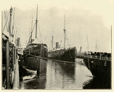 1898年6月，上一次卡普隆人父子见面，美西战争，1898年6月。 作者 伯尔·麦金托什