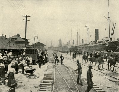 囚犯获释，1898年6月，1899年6月的美西战争。 作者 伯尔·麦金托什